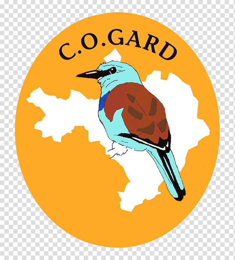 Bird Logo, Voluntary Association, Natural Environment, Conservation, Ecology, Flora, Biodiversity, Naturalist transparent background PNG clipart