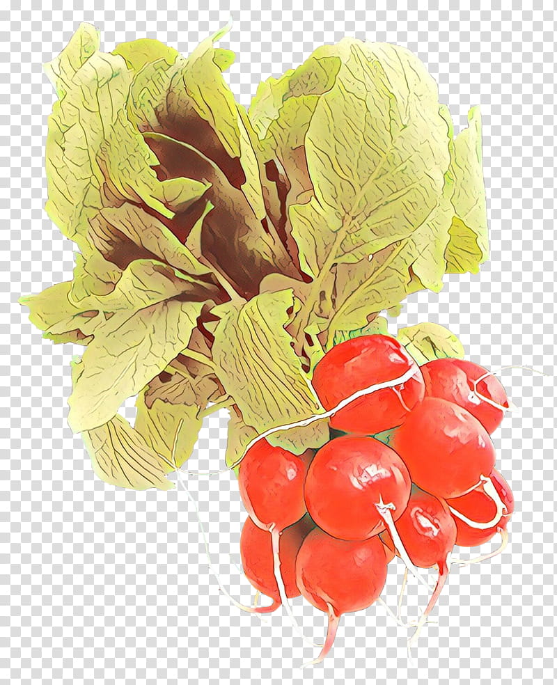 vegetable food natural foods leaf plant, Cartoon, Flower, Radish, Superfood, Berry transparent background PNG clipart