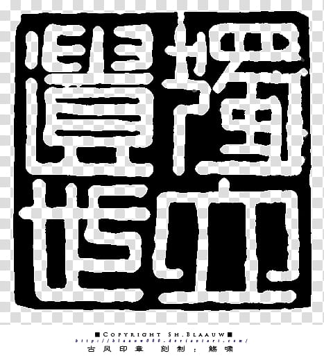 Черный скрипт. Печать китайская черная. Shuowen Jiezi книга. Печать сценариев. Chinese Seal script.