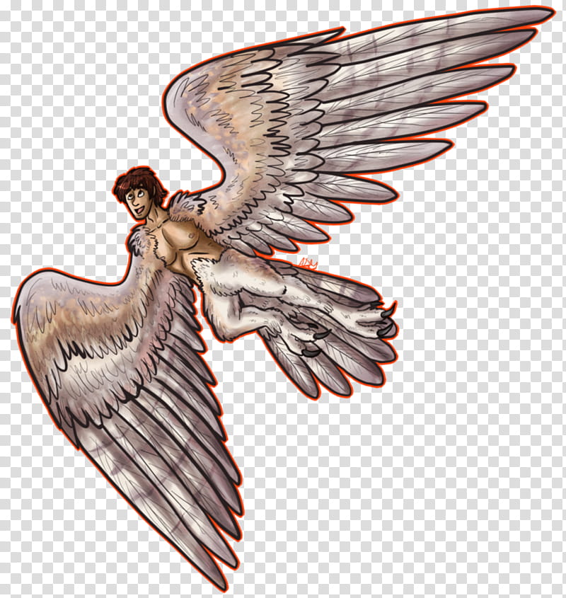 Patreon, Harpy Nathan transparent background PNG clipart