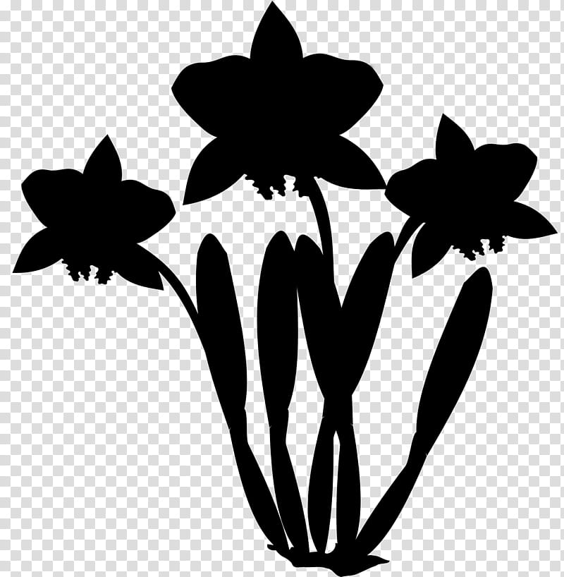Flower Drawing, Orchids, Cattleya Orchids, Blackandwhite, Leaf, Plant, Petal, Wildflower transparent background PNG clipart