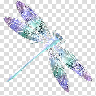 purple and green dragon fly transparent background PNG clipart