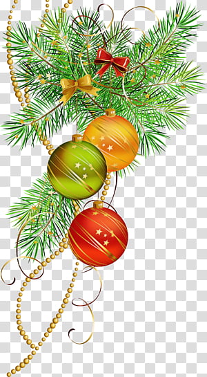Christmas tree, Branch, Oregon Pine, Fir, Christmas Decoration, Christmas Ornament, Conifer, Colorado Spruce transparent background PNG clipart thumbnail