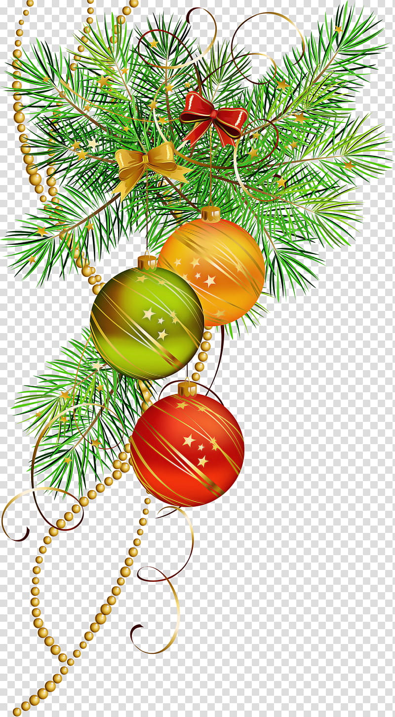 Christmas tree, Branch, Oregon Pine, Fir, Christmas Decoration, Christmas Ornament, Conifer, Colorado Spruce transparent background PNG clipart Christmas tree, Branch, Oregon Pine, Fir, Christmas Decoration, Christmas Ornament, Conifer, Colorado Spruce transparent background PNG clipart