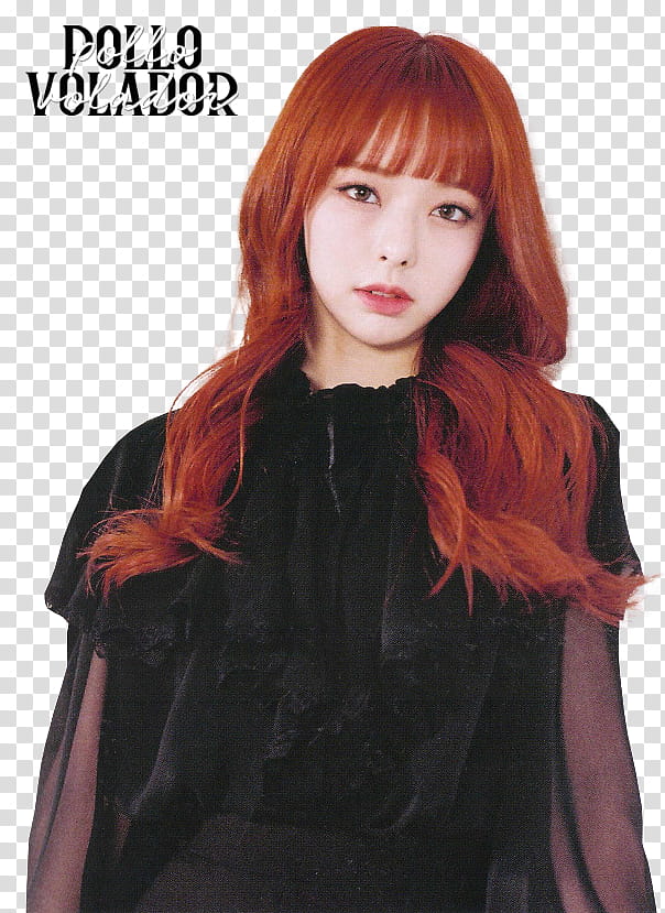 LOONA X X Album Scans Ver A transparent background PNG clipart