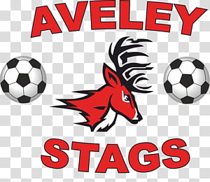 Football, Fairfield University, Fairfield Stags, Logo, Sports, Organization, Ncaa Division I, Line transparent background PNG clipart thumbnail