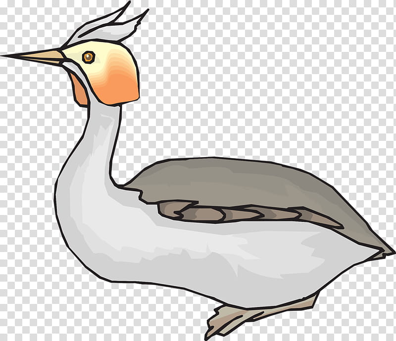 Bird Line Art, Duck, Goose, Beak, Water Bird, Ducks Geese And Swans, Wing, Fowl transparent background PNG clipart