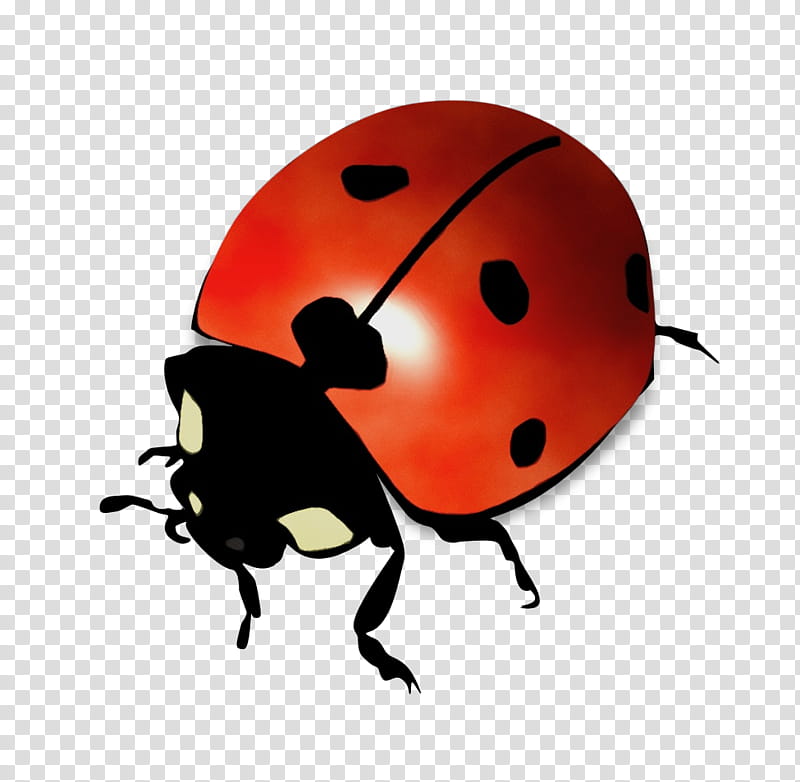 Ladybug, Watercolor, Paint, Wet Ink, Insect, Beetle, Leaf Beetle transparent background PNG clipart