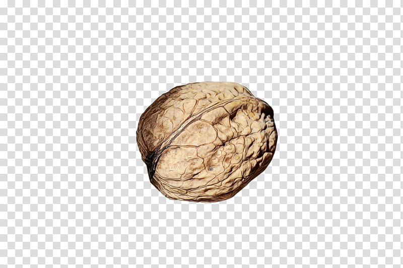 walnut nut food nuts & seeds beige, Watercolor, Paint, Wet Ink, Nuts Seeds, Plant, Rock transparent background PNG clipart