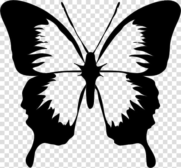 Monarch Butterfly Drawing, Monarch Butterfly Migration, Swallowtail Butterfly, Line Art, Silhouette, Moths And Butterflies, Insect, Blackandwhite transparent background PNG clipart