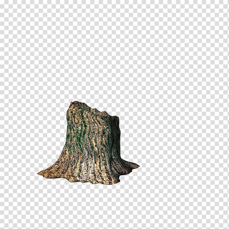 tree stump, tree trunk transparent background PNG clipart