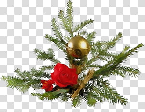 Christmas tree, Watercolor, Paint, Wet Ink, Oregon Pine, Colorado Spruce, Branch, Christmas Decoration transparent background PNG clipart thumbnail