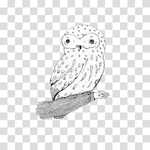 black and white s, white owl on trunk art transparent background PNG clipart