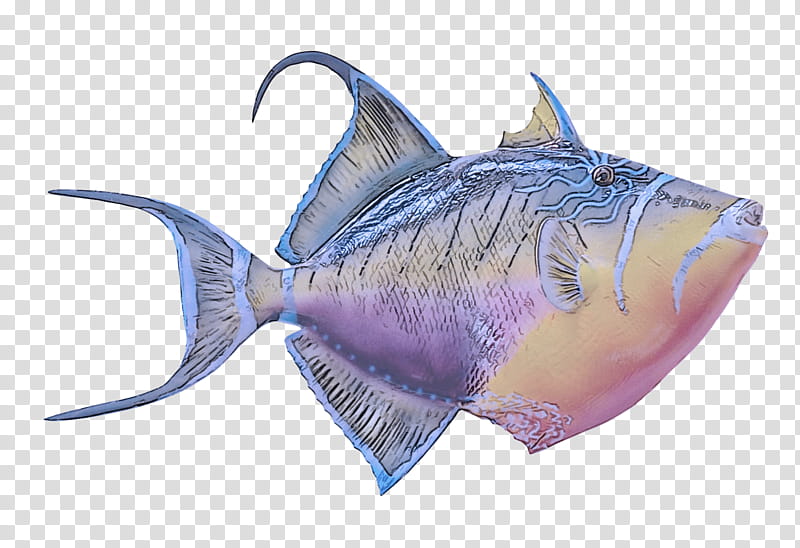 fish fish triggerfish deep sea fish fin transparent background PNG clipart