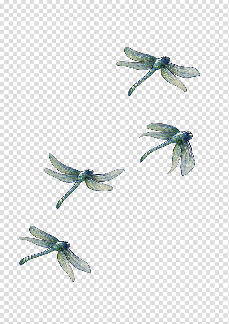 Travel Design, Industrial Design, Exhibition, Fair, Juggling, Turquoise, Dragonflies And Damseflies, Plant transparent background PNG clipart