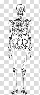 Miscellaneous s, white and black skeleton art transparent background PNG clipart