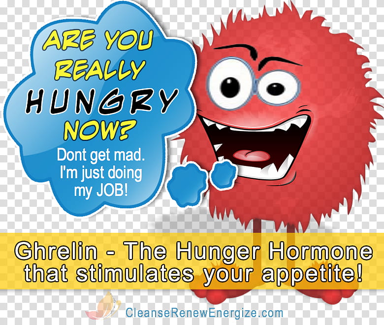 Ghrelin Text, Hormone, Appetite, Leptin, Hunger, Orexigenic, Cartoon, Behavior transparent background PNG clipart
