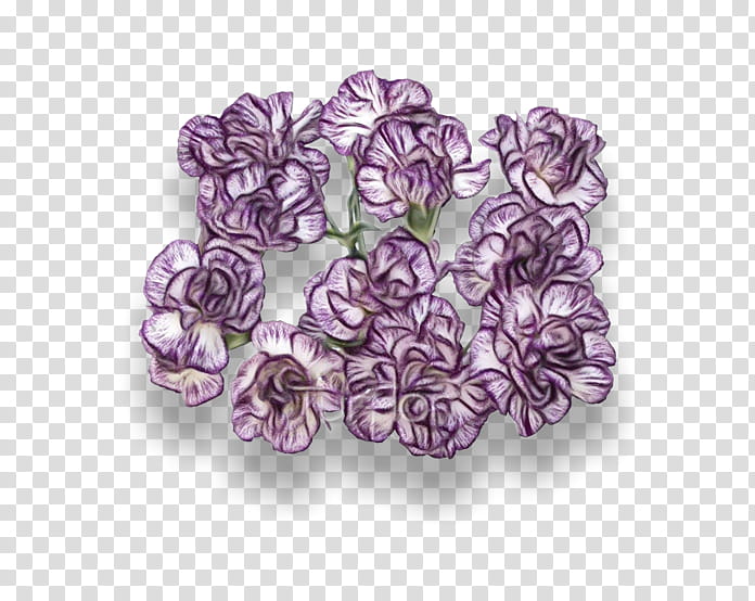 Purple Watercolor Flower, Paint, Wet Ink, Turflor, Petal, Carnation, Fruit, Blog transparent background PNG clipart
