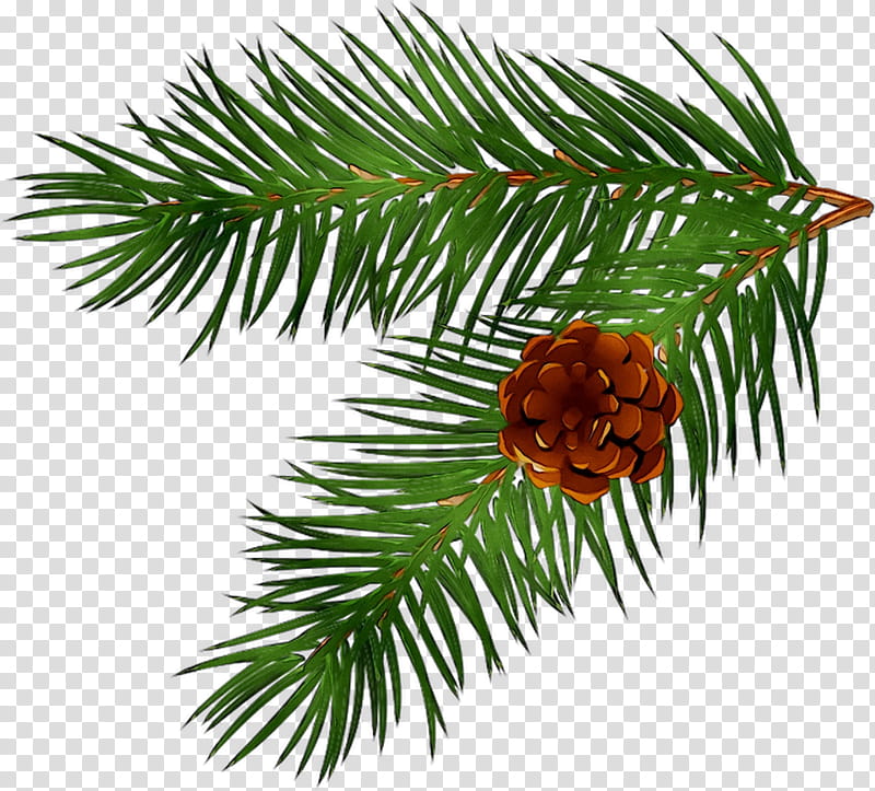 Christmas Black And White, Branch, Pine, Fir, Tree, Conifer Cone, Conifers, Spruce transparent background PNG clipart