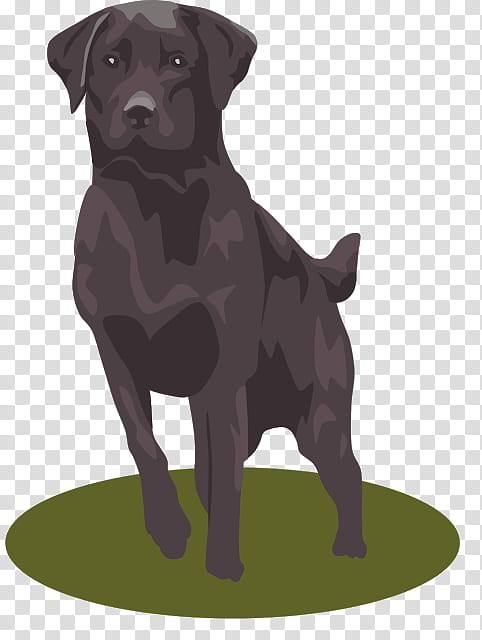 Dog Silhouette, Labrador Retriever, Puppy, Drawing, Borador, Patterdale Terrier, Snout, Companion Dog transparent background PNG clipart