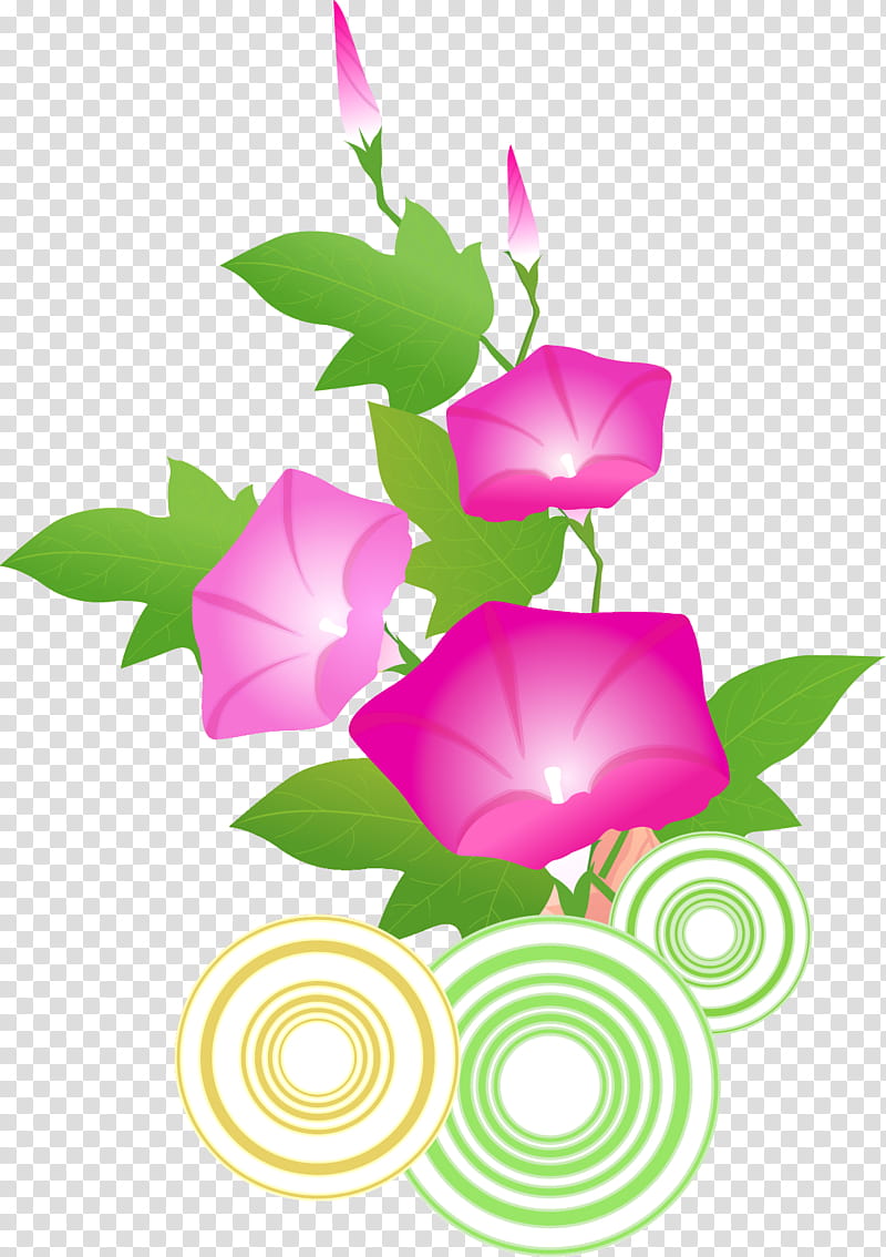 Drawing Of Family, Morning Glory, Japanese Morning Glory, Flower, Pink, Plant, Rose Family, Flora transparent background PNG clipart