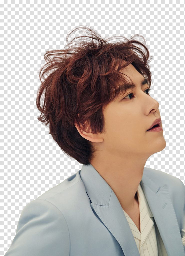 KYUHYUN GOODBYE FOR NOW P transparent background PNG clipart