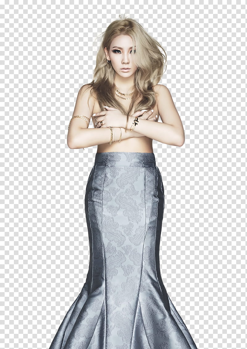 CL NE Render, women's gray maxi skirt transparent background PNG clipart