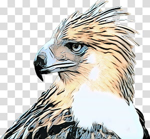 Harpy Eagle Bird Drawing, eagle transparent background PNG clipart