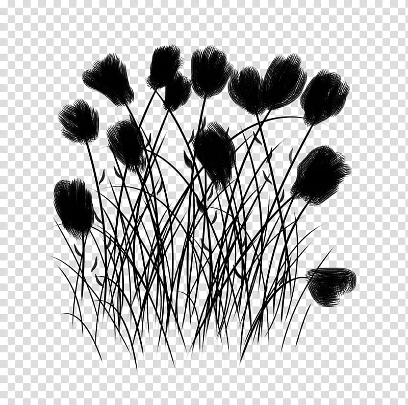 Globe, Flower, Computer, Grass, Teasel, Plant, Grass Family, Branch transparent background PNG clipart