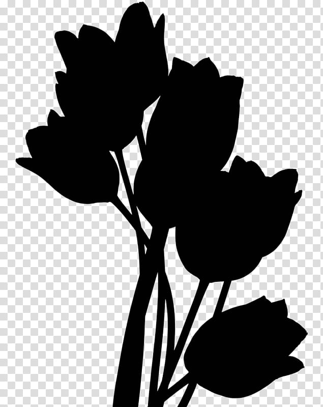 Tree Branch Silhouette, Tulip, Flower, Retour, Petal, Shoe, Flower Bouquet, Suede transparent background PNG clipart