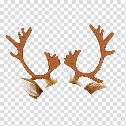 THIRD CHRISTMAS, brown buck horn art transparent background PNG clipart