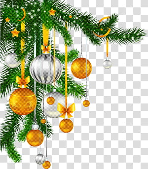 Christmas tree, Branch, Oregon Pine, Colorado Spruce, Christmas Ornament, Christmas Decoration, Fir, Holiday Ornament transparent background PNG clipart thumbnail