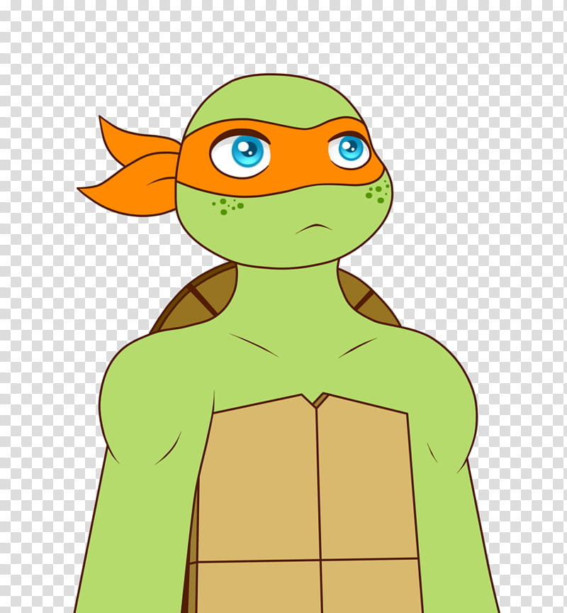 Turtle, Michaelangelo, Raphael, Donatello, Hamato Yoshi, Teenage Mutant Ninja Turtles, Karai, Mutants In Fiction transparent background PNG clipart