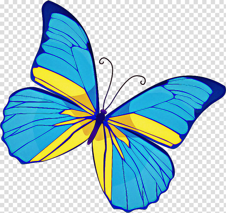 Butterfly, Monarch Butterfly, Pieridae, Brushfooted Butterflies, Blue, Borboleta, Moth, Gossamerwinged Butterflies transparent background PNG clipart