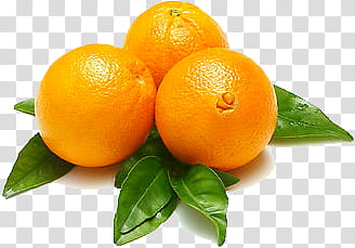 Fruit P, three orange fruits transparent background PNG clipart