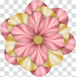 Flower, pink and yellow cluster flower illustration transparent background PNG clipart