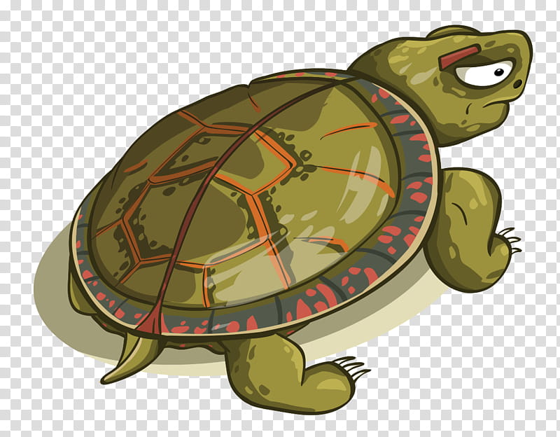 Sea Turtle, Reptile, Turtle Shell, Green Sea Turtle, Tortoise, Tortoiseshell, Cartoon, Pond Turtle transparent background PNG clipart