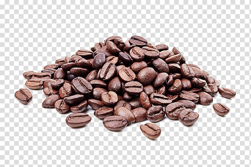 food bean cocoa bean java coffee jamaican blue mountain coffee, Plant, Seed, Caffeine, Ingredient transparent background PNG clipart