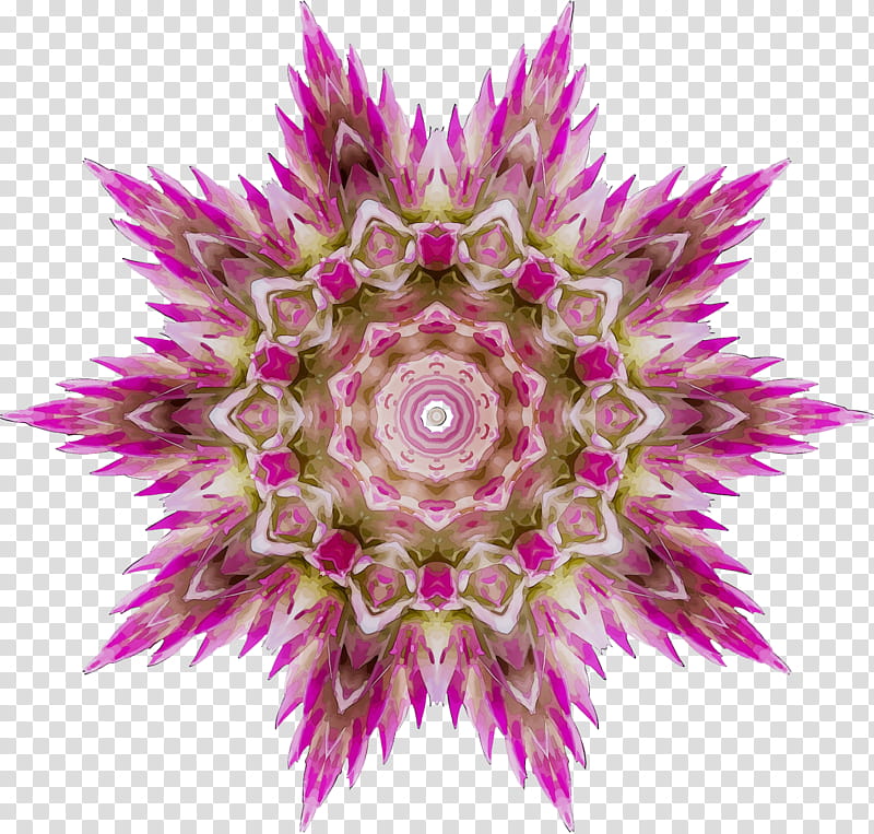 Islamic Background Flower, Symmetry, Geometry, Ornament, Geometric Shape, Kaleidoscope, Fractal, Mandala transparent background PNG clipart