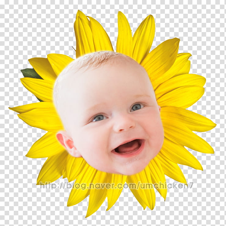 Face, Common Sunflower, 2018, Yellow, Facial Expression, Smile, Head, Child transparent background PNG clipart