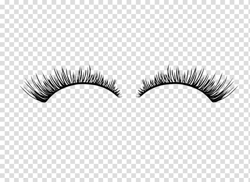 Eyelash , women's false eyelashes transparent background PNG clipart