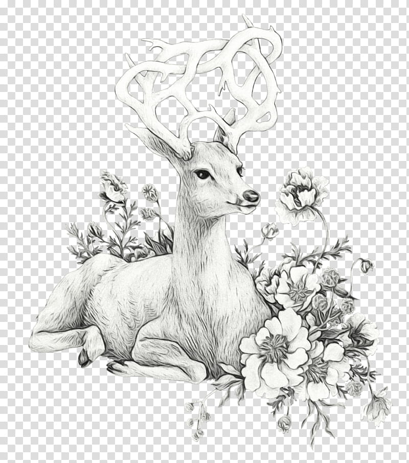 deer wildlife drawing roe deer line art, Watercolor, Paint, Wet Ink, Antelope, Horn, Coloring Book transparent background PNG clipart
