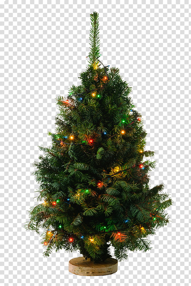 Christmas Resource , green Christmas tree with string lights and baubles transparent background PNG clipart
