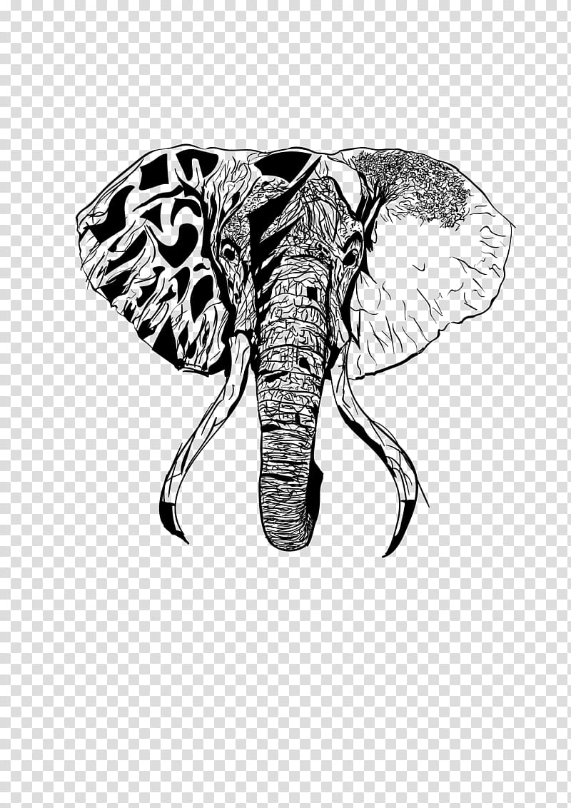 Butterfly Stencil, Elephant, Drawing, Indian Elephant, African Elephant, Visual Arts, M 0d, Artist transparent background PNG clipart