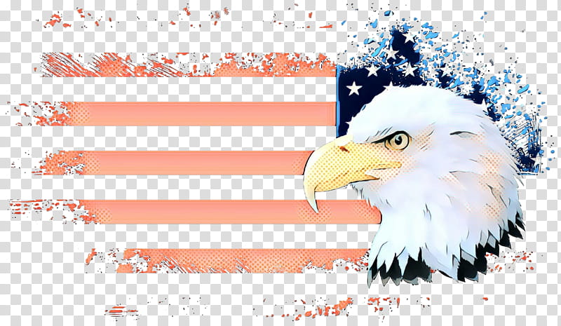 bald eagle bird eagle bird of prey accipitridae, Pop Art, Retro, Vintage, Beak, Sea Eagle, Adaptation transparent background PNG clipart