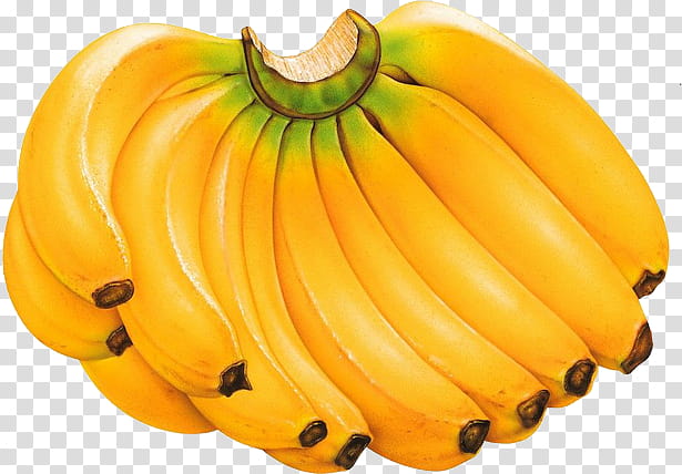 Fruit P, yellow Banana fruit illustration transparent background PNG clipart