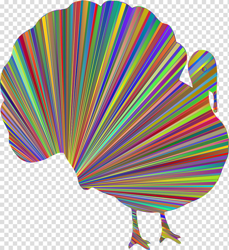 Turkey Thanksgiving, Silhouette, Turkey Meat, Week, Popularity, Decorative Fan, Line transparent background PNG clipart