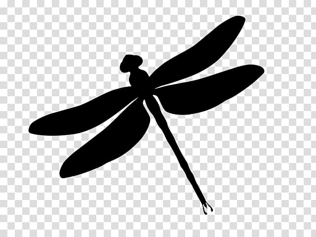 Leaf Silhouette, Insect, Dragonfly, Goldenringed Dragonfly, Insect Wing, Drawing, Dragonflies And Damseflies, Black transparent background PNG clipart