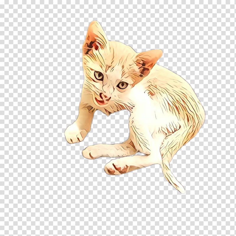 cat small to medium-sized cats kitten whiskers drawing, Cartoon, Small To Mediumsized Cats, Tail, Fawn transparent background PNG clipart