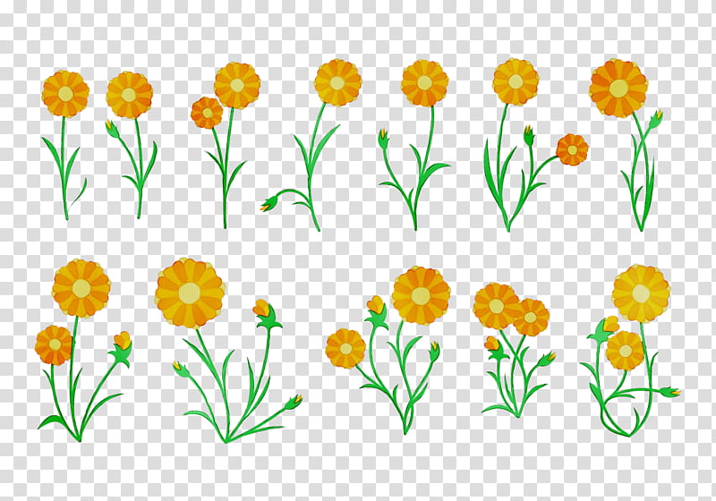 Watercolor Flower, Pot Marigold, Drawing, Watercolor Painting, GRASS GIS, Plants, Marigolds, Yellow transparent background PNG clipart